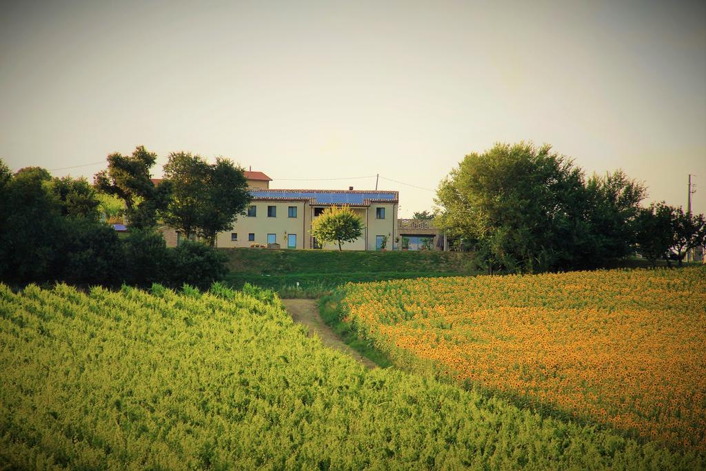 B&B Ceresa - Country House Λορέτο Εξωτερικό φωτογραφία